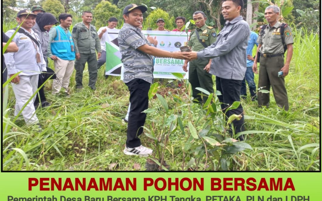 Lembaga Desa Pengelola Hutan Kolaborasi Penanaman Pohon