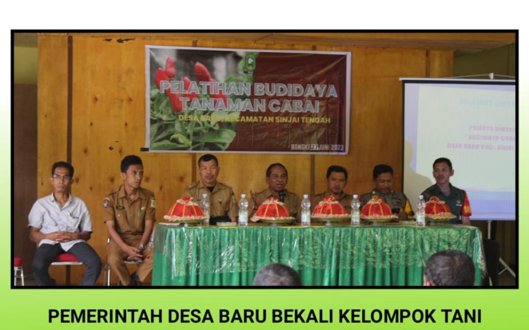 Pemerintah Desa Baru Berikan Penyuluhan Ketahanan Pangan Budidaya Cabai Kelompok Tani dan Dasawisma