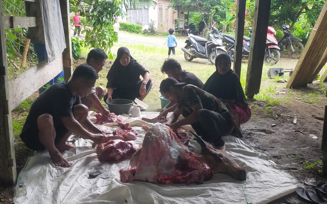 Ini dia Jumlah Hewan Qurban Masyarakat Desa Baru